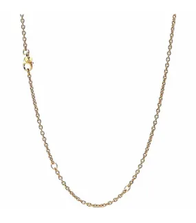 Cadena Pandora Shine - 368759C00
