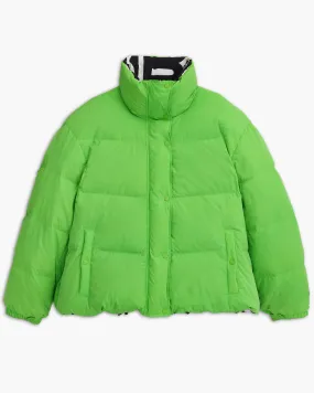 The Reversible Puffer
